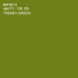 #6F8019 - Trendy Green Color Image
